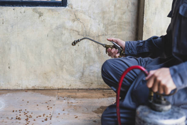 Best Best Pest Control Companies  in Bala Cynwyd, PA